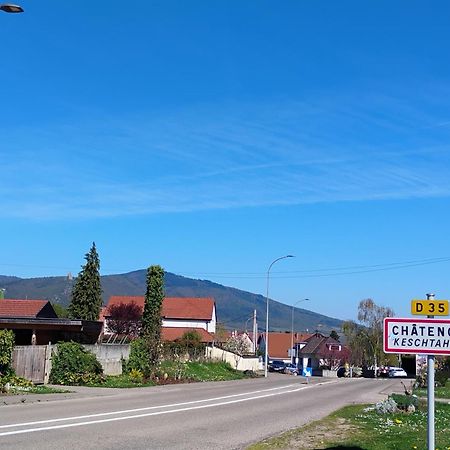 Gite Le Marronnier - Au Calme - Parking & Terrasse - Pres De Colmar Et Riquewihr - Route Des Vins Châtenois Εξωτερικό φωτογραφία