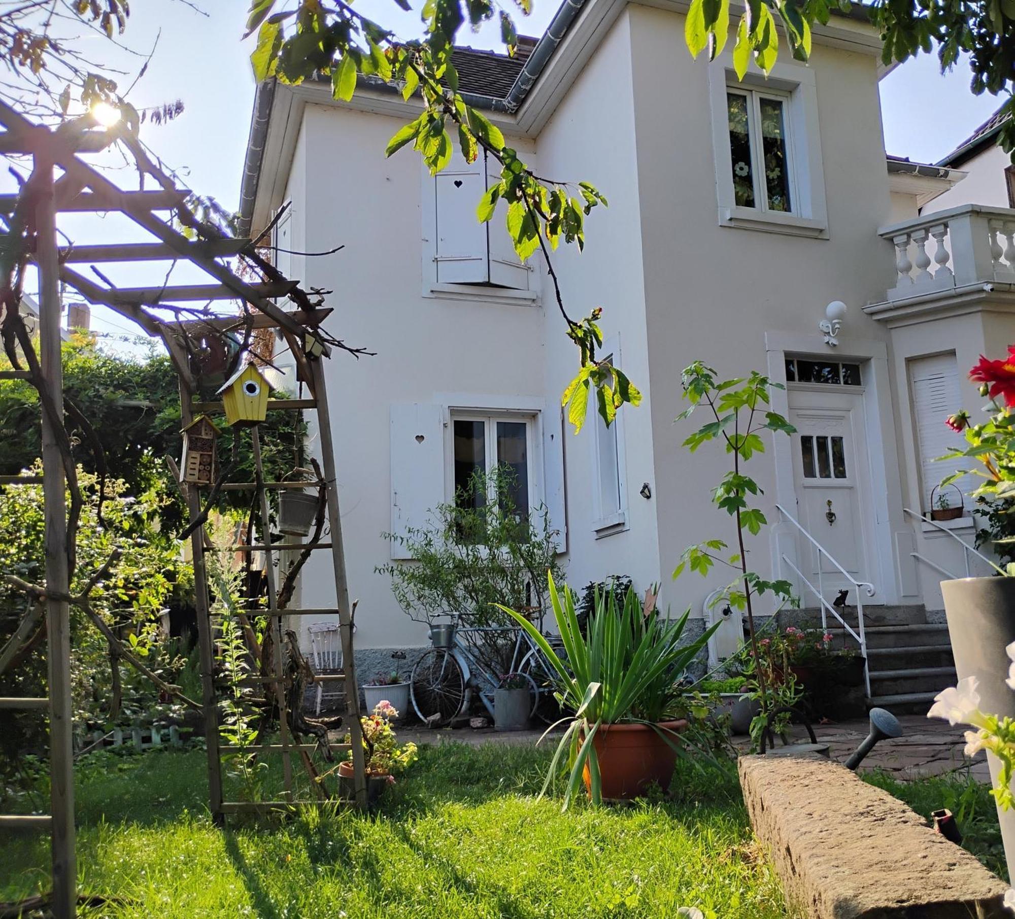 Gite Le Marronnier - Au Calme - Parking & Terrasse - Pres De Colmar Et Riquewihr - Route Des Vins Châtenois Εξωτερικό φωτογραφία