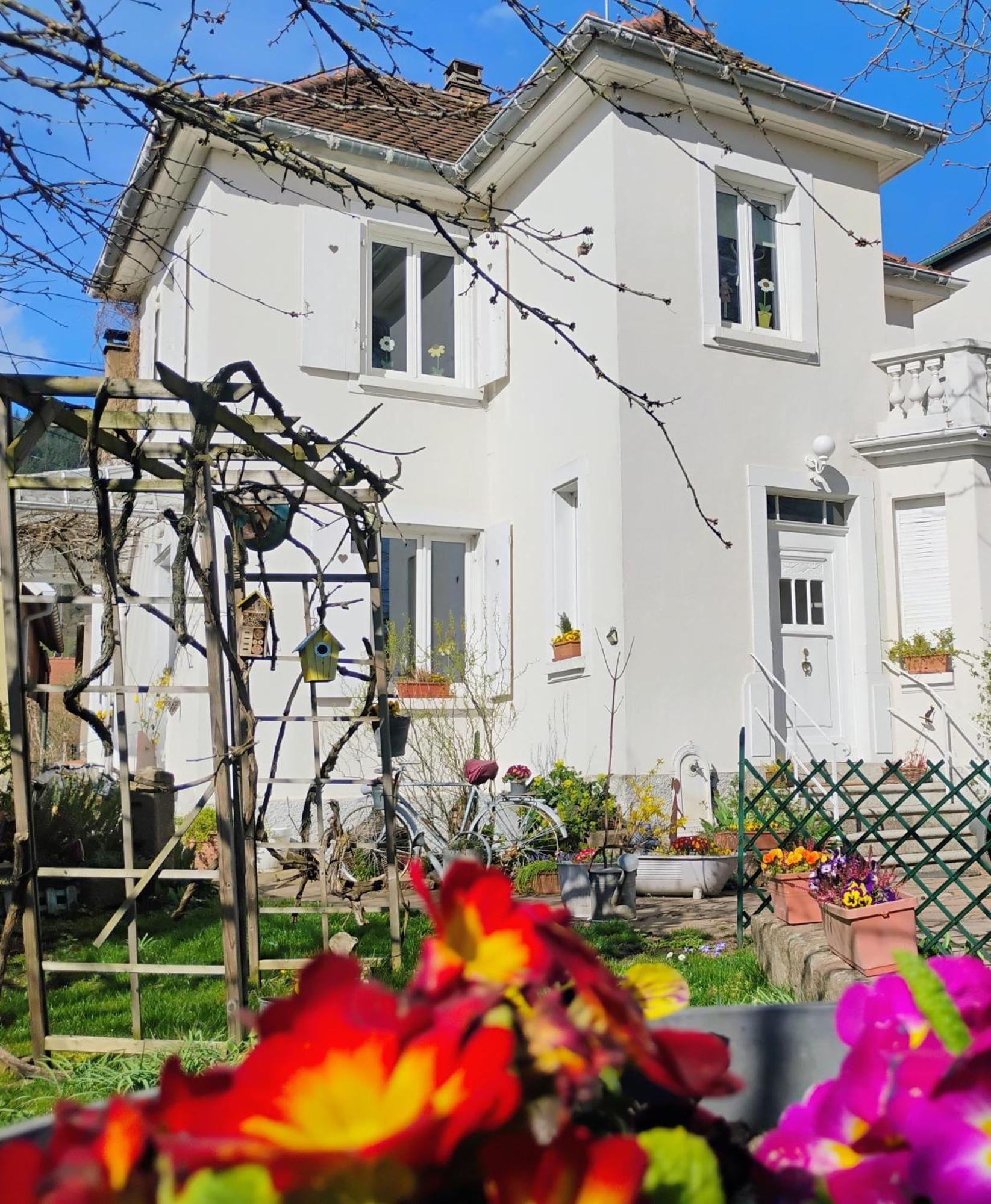 Gite Le Marronnier - Au Calme - Parking & Terrasse - Pres De Colmar Et Riquewihr - Route Des Vins Châtenois Εξωτερικό φωτογραφία