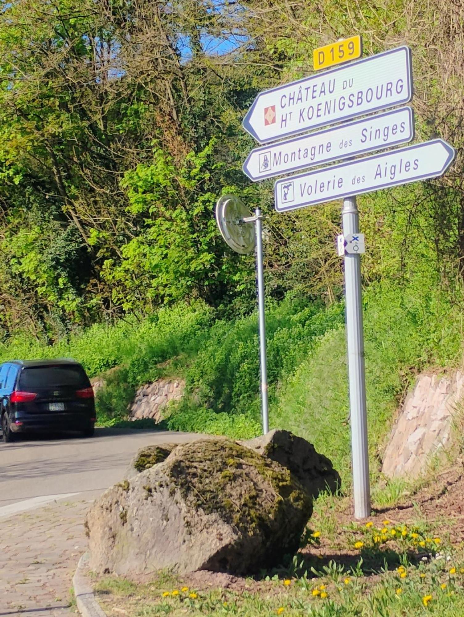 Gite Le Marronnier - Au Calme - Parking & Terrasse - Pres De Colmar Et Riquewihr - Route Des Vins Châtenois Εξωτερικό φωτογραφία